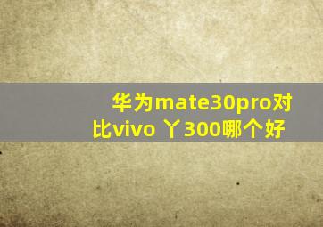 华为mate30pro对比vivo 丫300哪个好